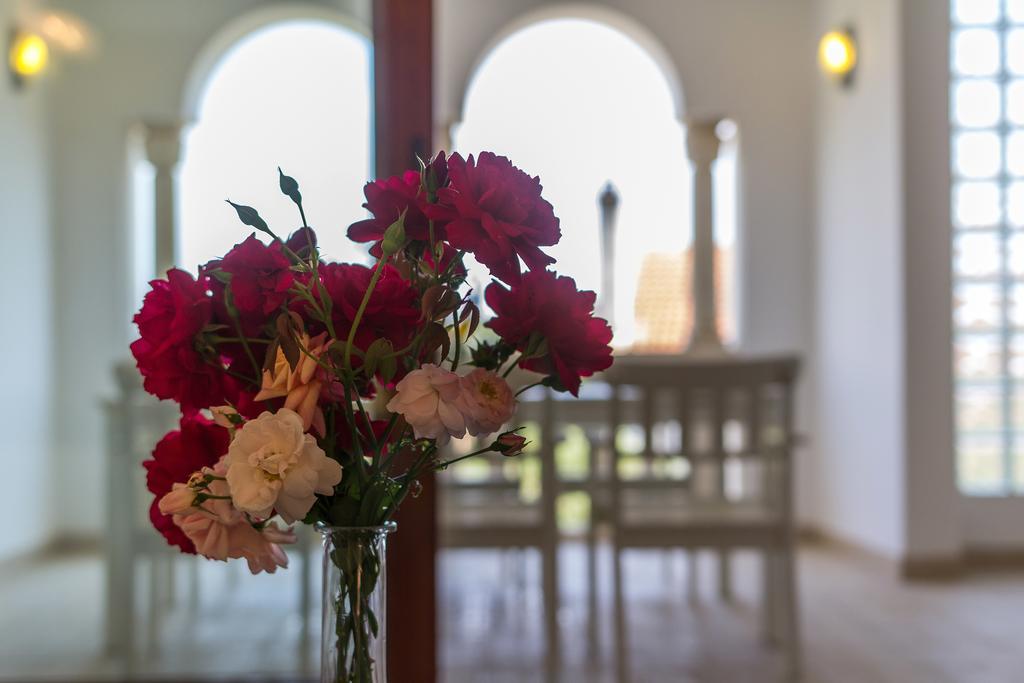 Villa Alma Veli Lošinj Dış mekan fotoğraf